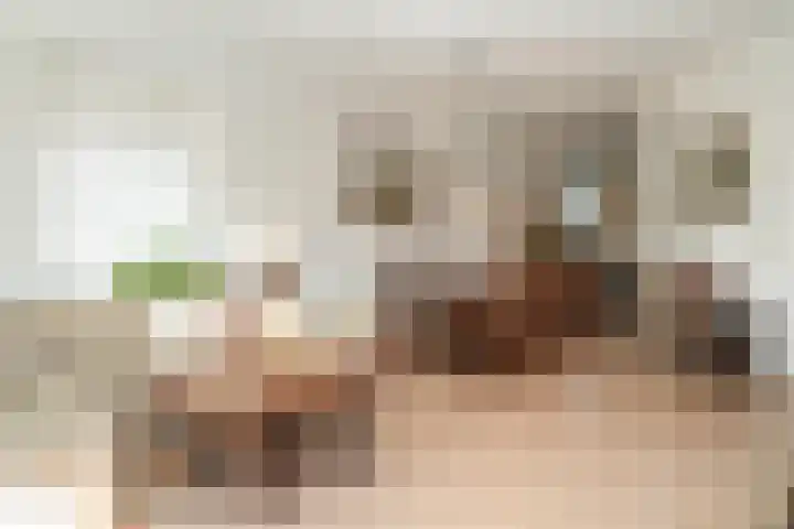 Ossenwaard 20 Wijk en Aalburg thumbnail 7