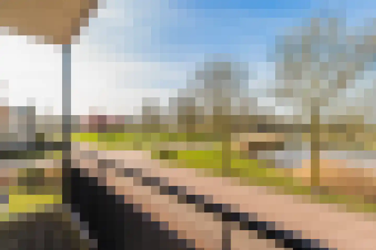 Ossenwaard 32 Wijk en Aalburg thumbnail 15
