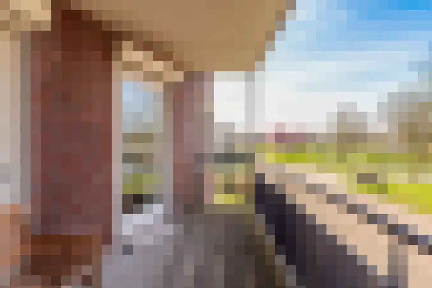 Ossenwaard 32 Wijk en Aalburg thumbnail 17