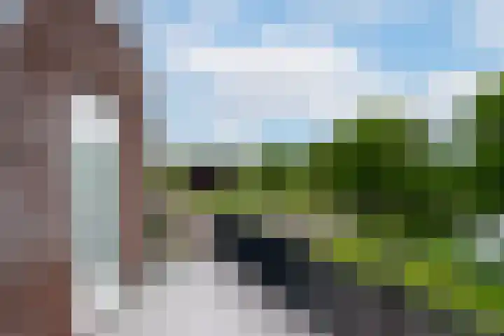 Ossenwaard 52 Wijk en Aalburg thumbnail 15
