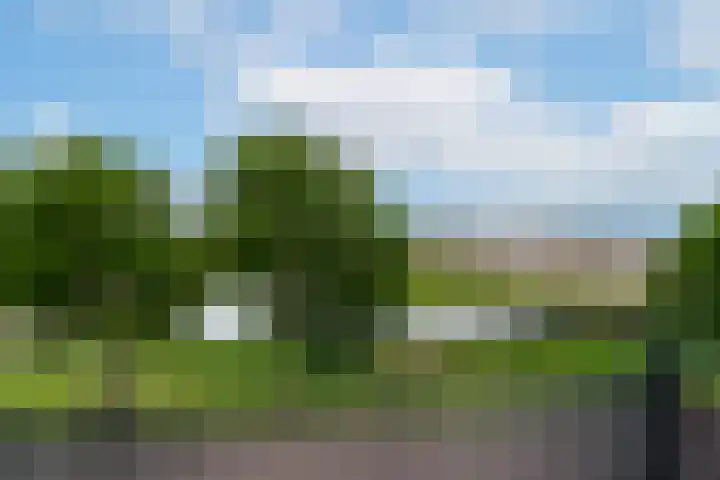 Ossenwaard 52 Wijk en Aalburg thumbnail 16