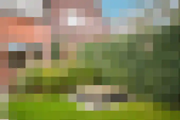 Ossenwaard 78 Wijk en Aalburg thumbnail 31