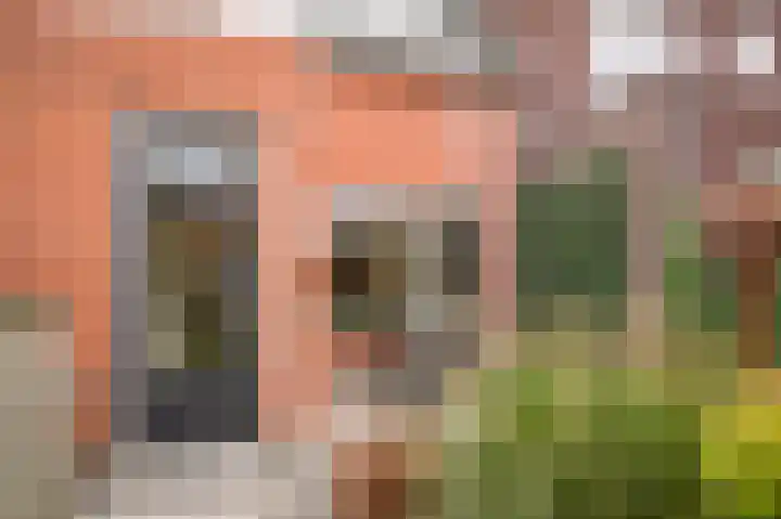 Ossenwaard 78 Wijk en Aalburg thumbnail 32
