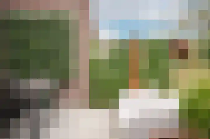 Ossenwaard 78 Wijk en Aalburg thumbnail 33