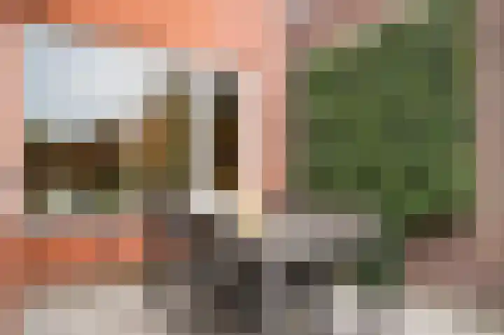 Ossenwaard 78 Wijk en Aalburg thumbnail 34
