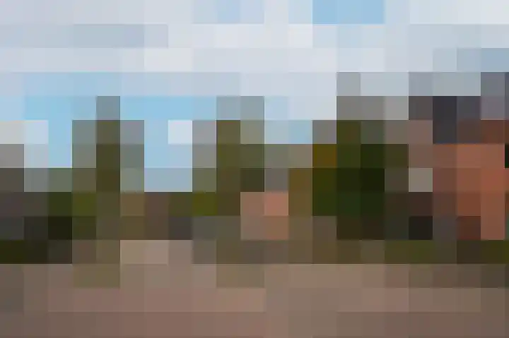 Ossenwaard 78 Wijk en Aalburg thumbnail 39