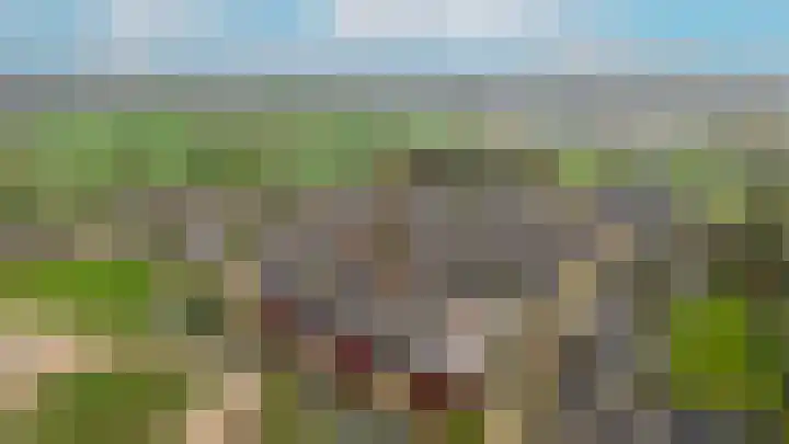 Ossenwaard 78 Wijk en Aalburg thumbnail 45