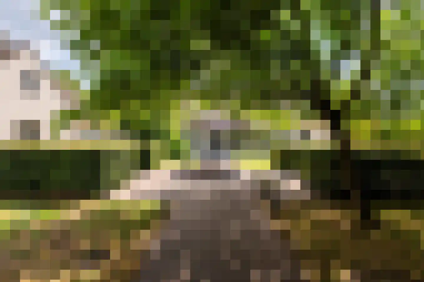Ossenweg 15 Enumatil thumbnail 12