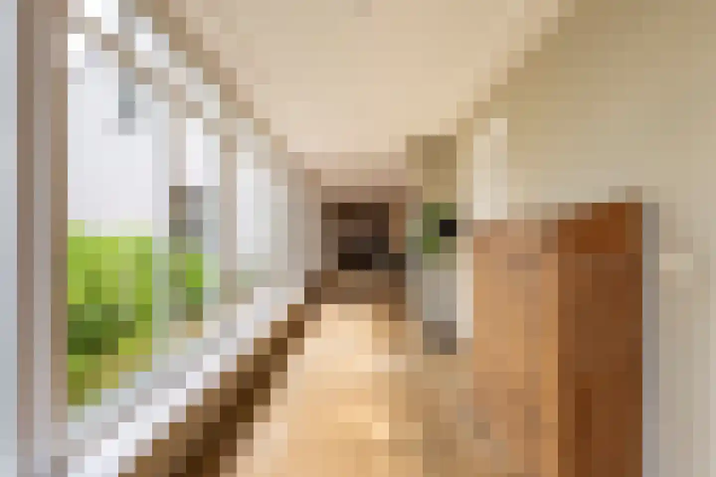 Ossenweg 15 Enumatil thumbnail 24