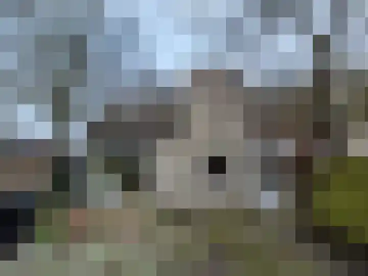 Ossenweide 14 Zwaag thumbnail 14