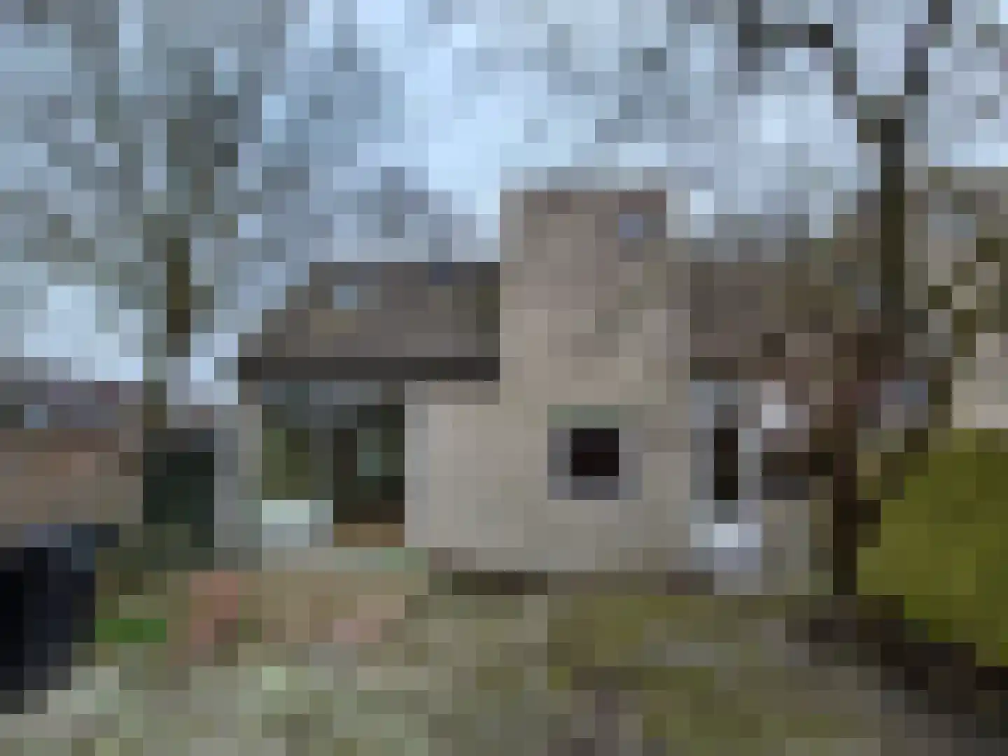 Ossenweide 14 Zwaag thumbnail 14