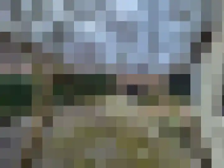 Ossenweide 14 Zwaag thumbnail 17