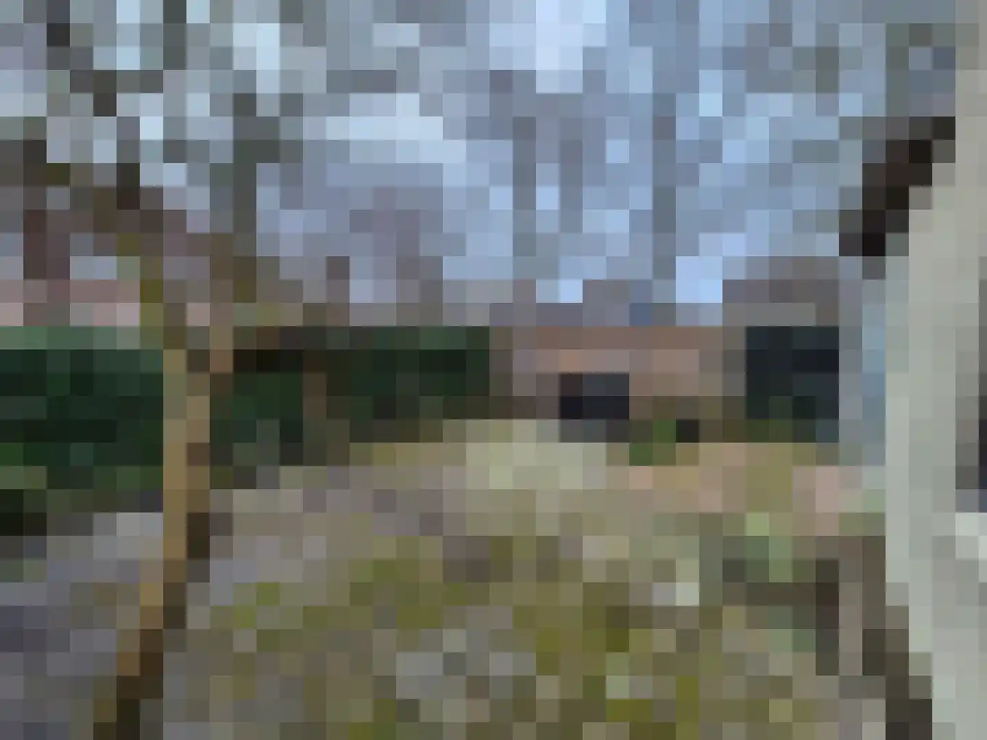 Ossenweide 14 Zwaag thumbnail 17