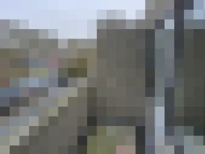 Ossenweide 14 Zwaag thumbnail 21