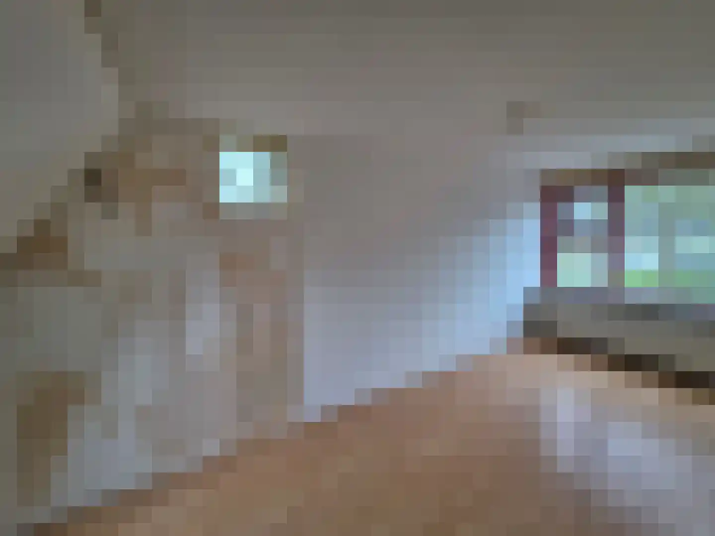 Ossenweide 14 Zwaag thumbnail 26