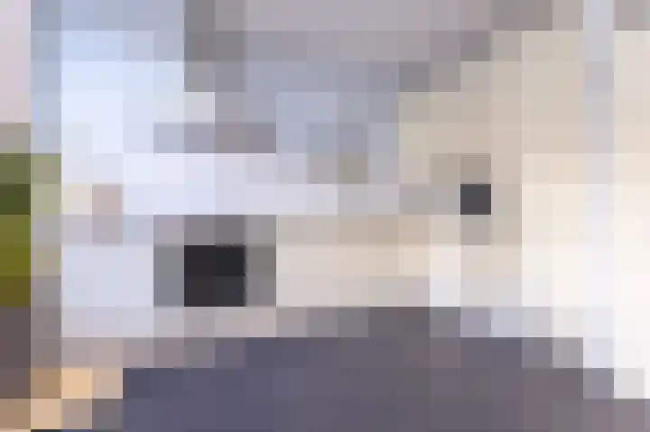 Ossenweide 15 Zwaag thumbnail 13