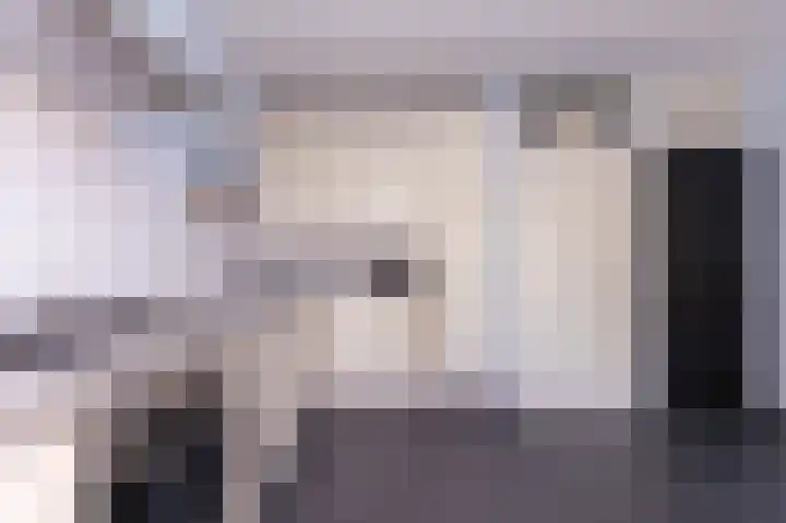 Ossenweide 15 Zwaag thumbnail 14
