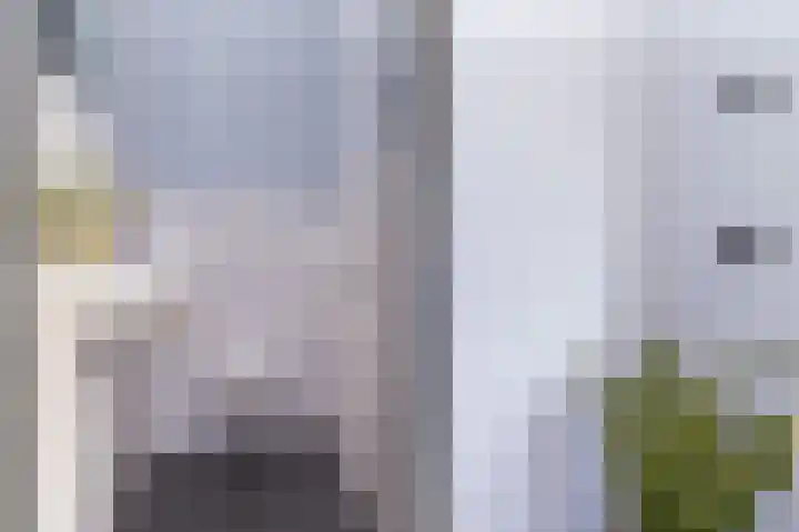 Ossenweide 15 Zwaag thumbnail 16