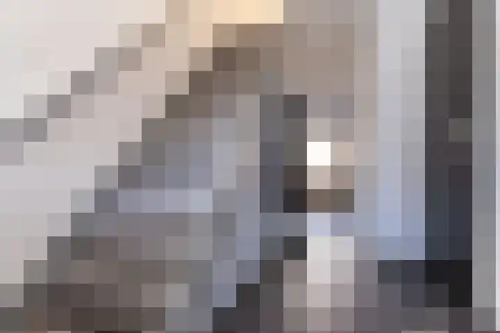 Ossenweide 15 Zwaag thumbnail 18
