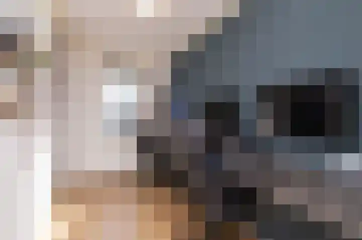 Ossenweide 15 Zwaag thumbnail 31