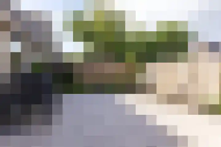 Ossenweide 15 Zwaag thumbnail 42