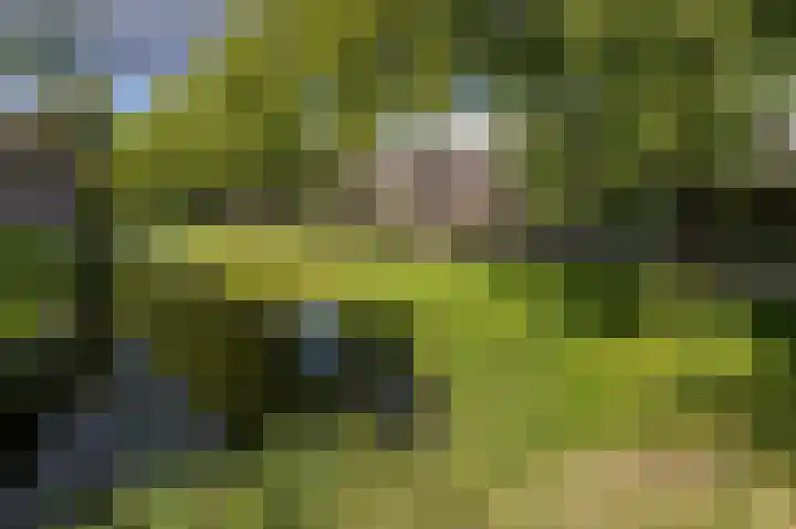 Ossenweide 15 Zwaag thumbnail 44