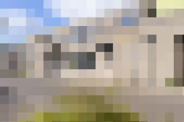 Ossenweide 15 Zwaag thumbnail 45