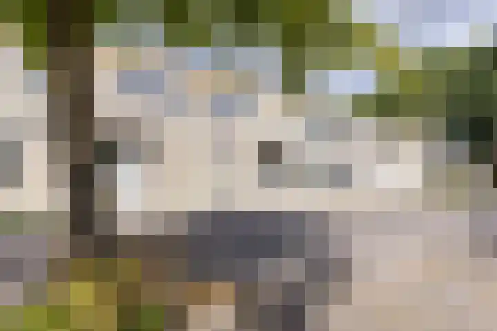 Ossenweide 15 Zwaag thumbnail 51