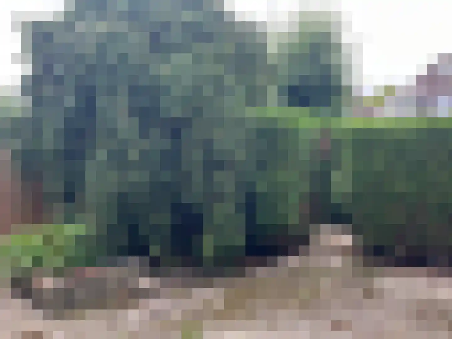 Ossenweide 17 Zwaag thumbnail 17
