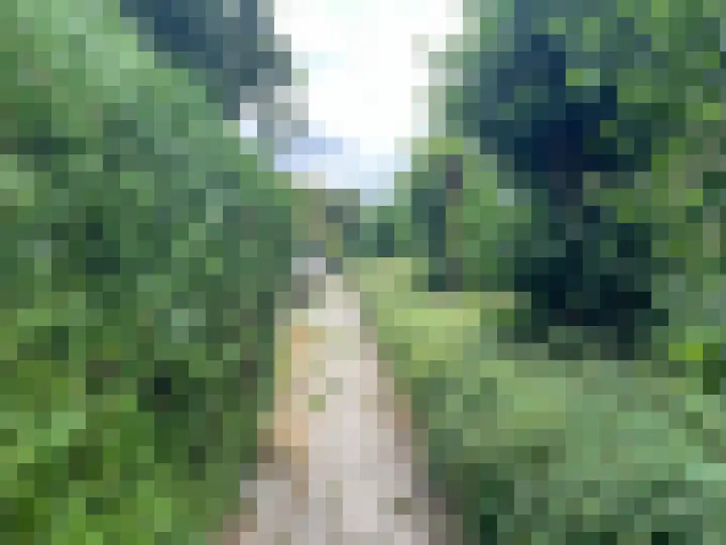 Ossenweide 17 Zwaag thumbnail 19