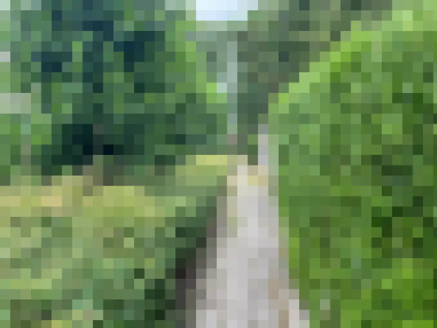 Ossenweide 17 Zwaag thumbnail 20