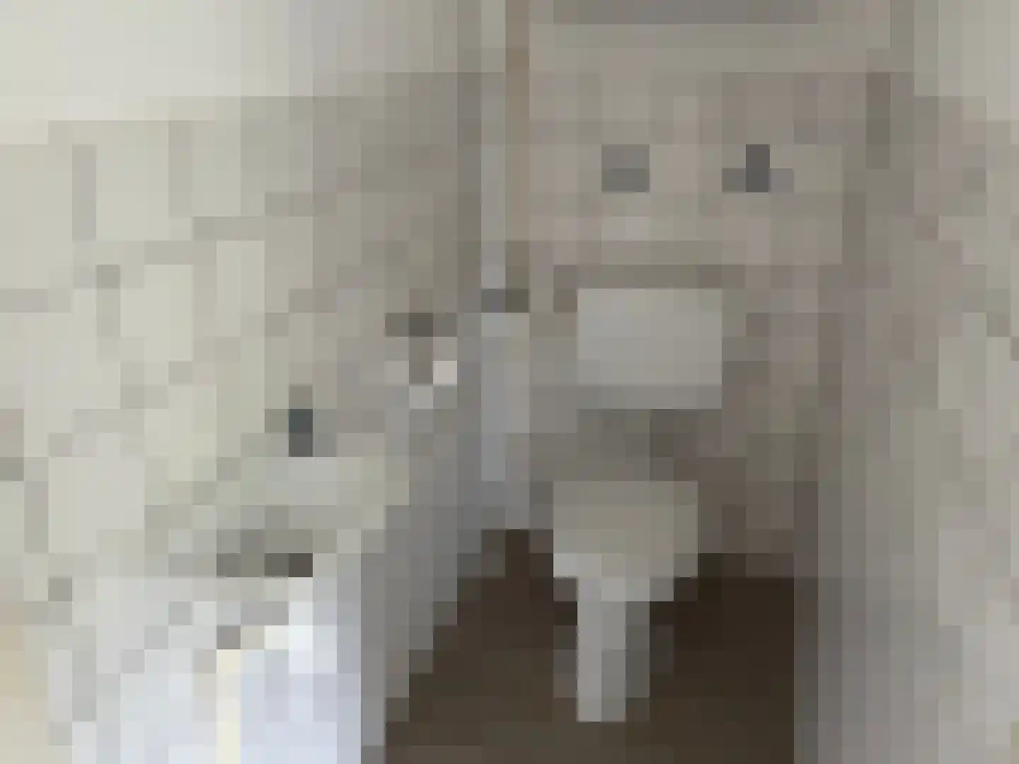 Ossenweide 17 Zwaag thumbnail 7