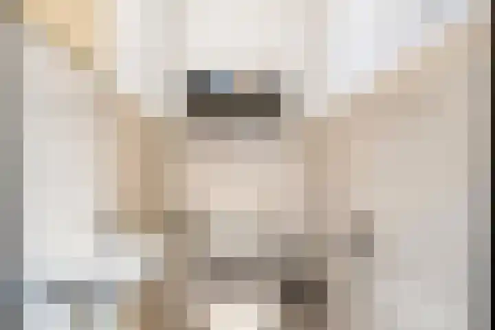 Ossenweide 22 Zwaag thumbnail 10