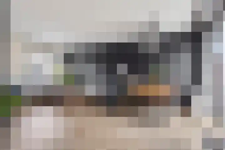 Ossenweide 22 Zwaag thumbnail 11