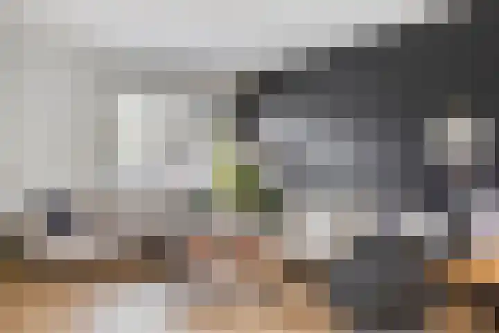 Ossenweide 22 Zwaag thumbnail 12