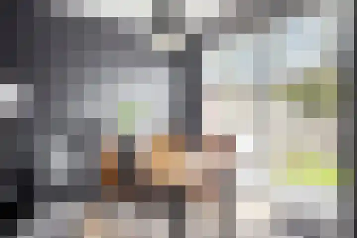 Ossenweide 22 Zwaag thumbnail 13