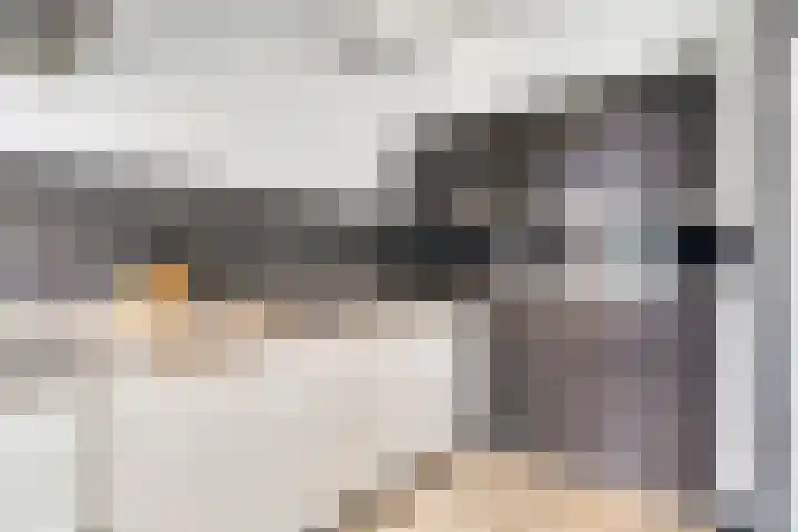 Ossenweide 22 Zwaag thumbnail 18