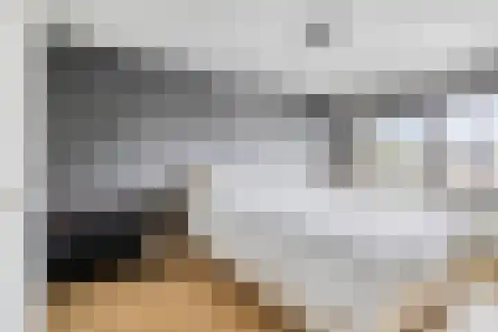 Ossenweide 22 Zwaag thumbnail 21