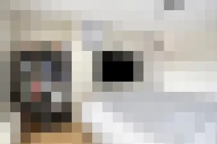 Ossenweide 22 Zwaag thumbnail 22