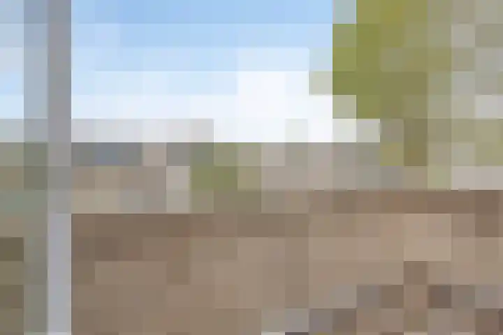 Ossenweide 22 Zwaag thumbnail 23
