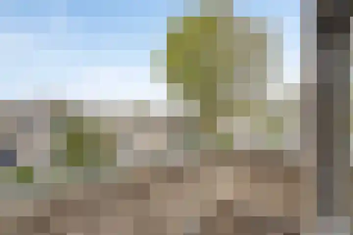 Ossenweide 22 Zwaag thumbnail 24