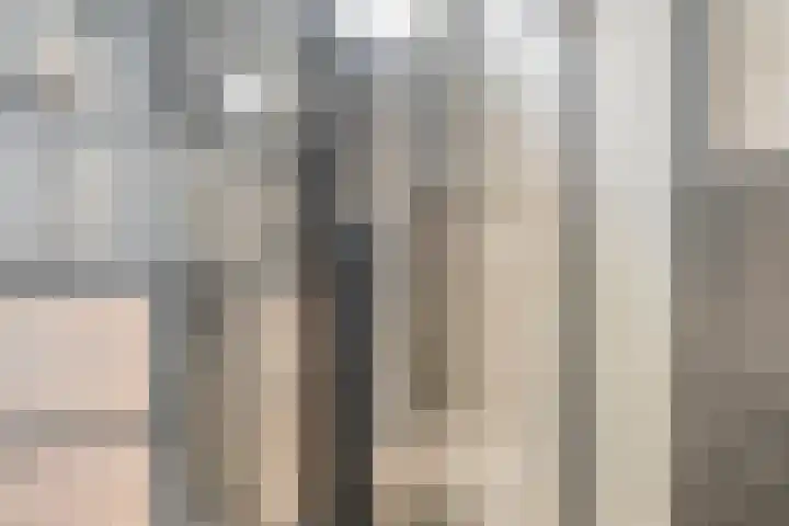 Ossenweide 22 Zwaag thumbnail 25