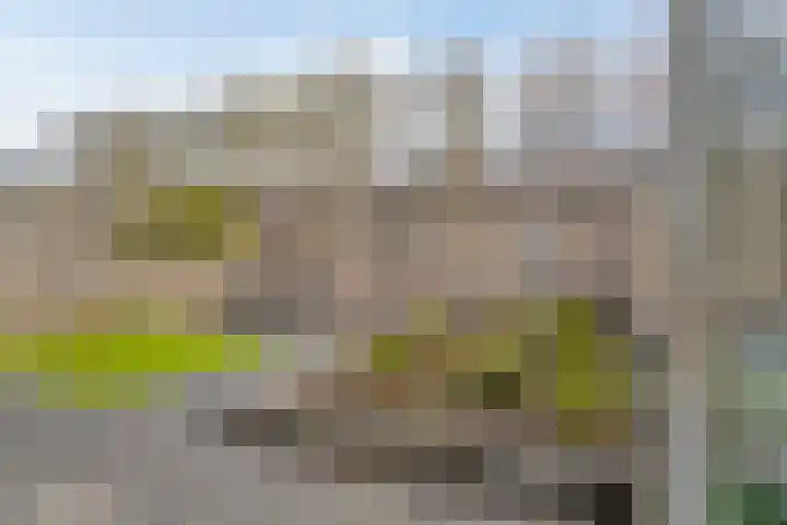 Ossenweide 22 Zwaag thumbnail 33