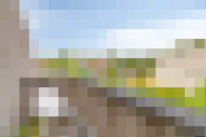 Ossenweide 30 Zwaag thumbnail 14