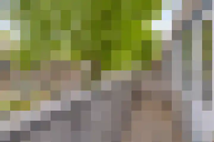 Ossenweide 30 Zwaag thumbnail 15