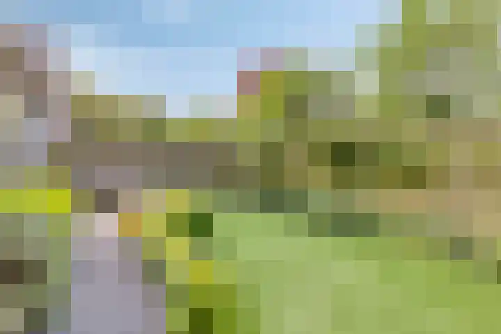 Ossenweide 30 Zwaag thumbnail 23