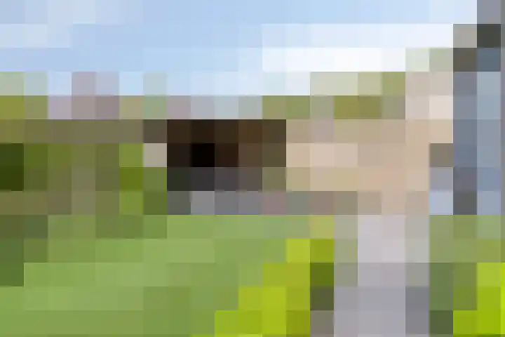 Ossenweide 30 Zwaag thumbnail 5