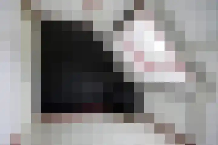 Ossenweide 36 Zwaag thumbnail 21