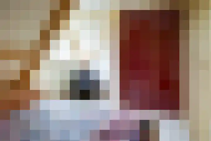Ossenweide 36 Zwaag thumbnail 22