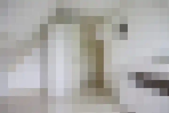 Ossenweide 36 Zwaag thumbnail 27